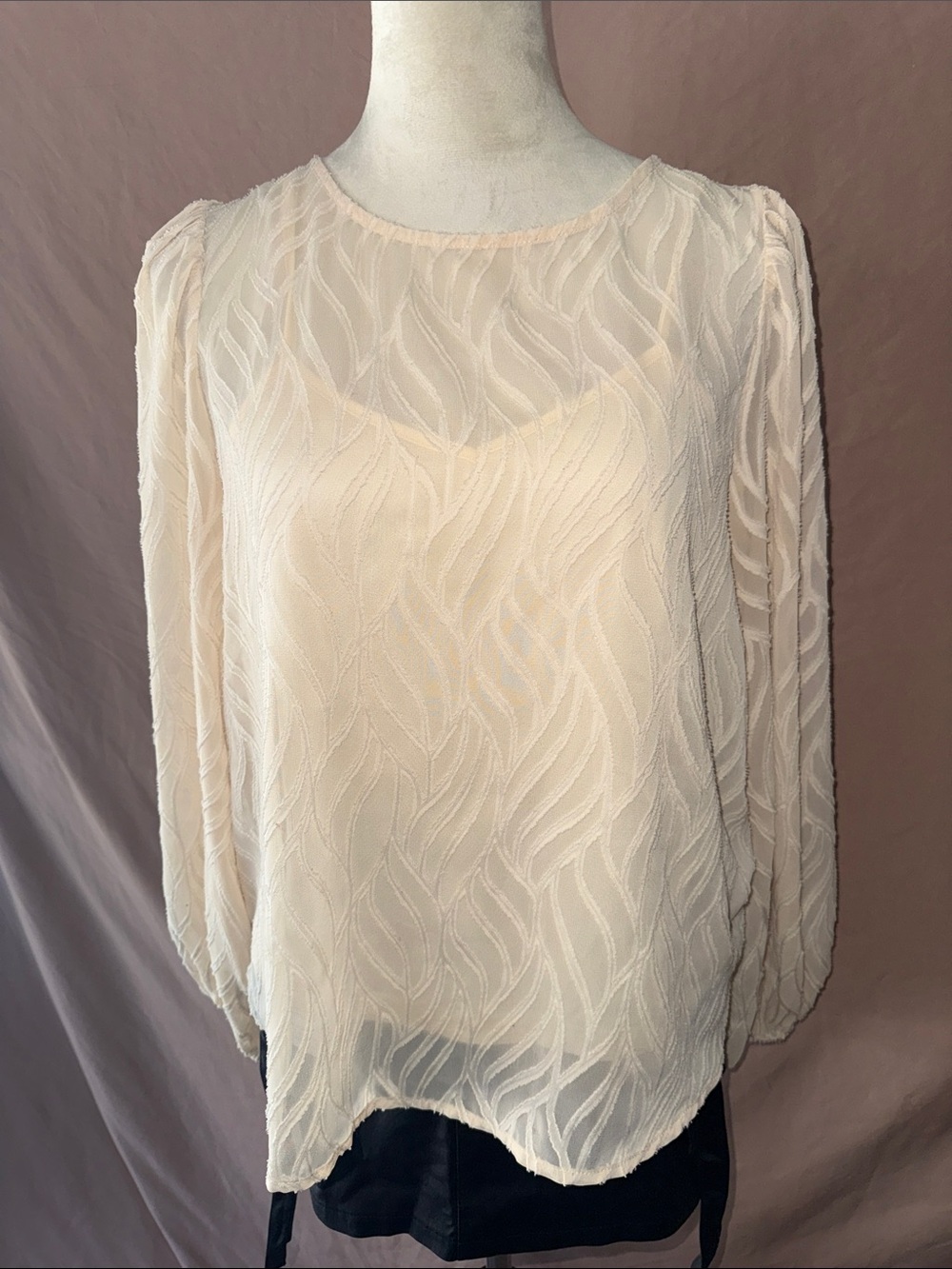 NWOT Jealous Tomato Sheer Textured Blouse in Cream- MED
